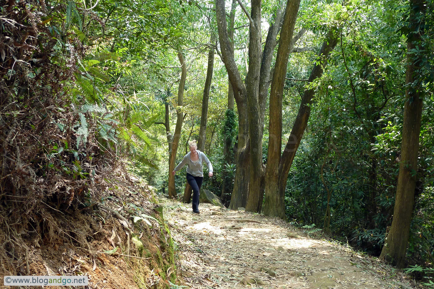 Maclehose Trail 4 - The start